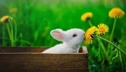 开云入口-冬季重赛决定争冠球队与降级球队未来走势，冬季赛事项目