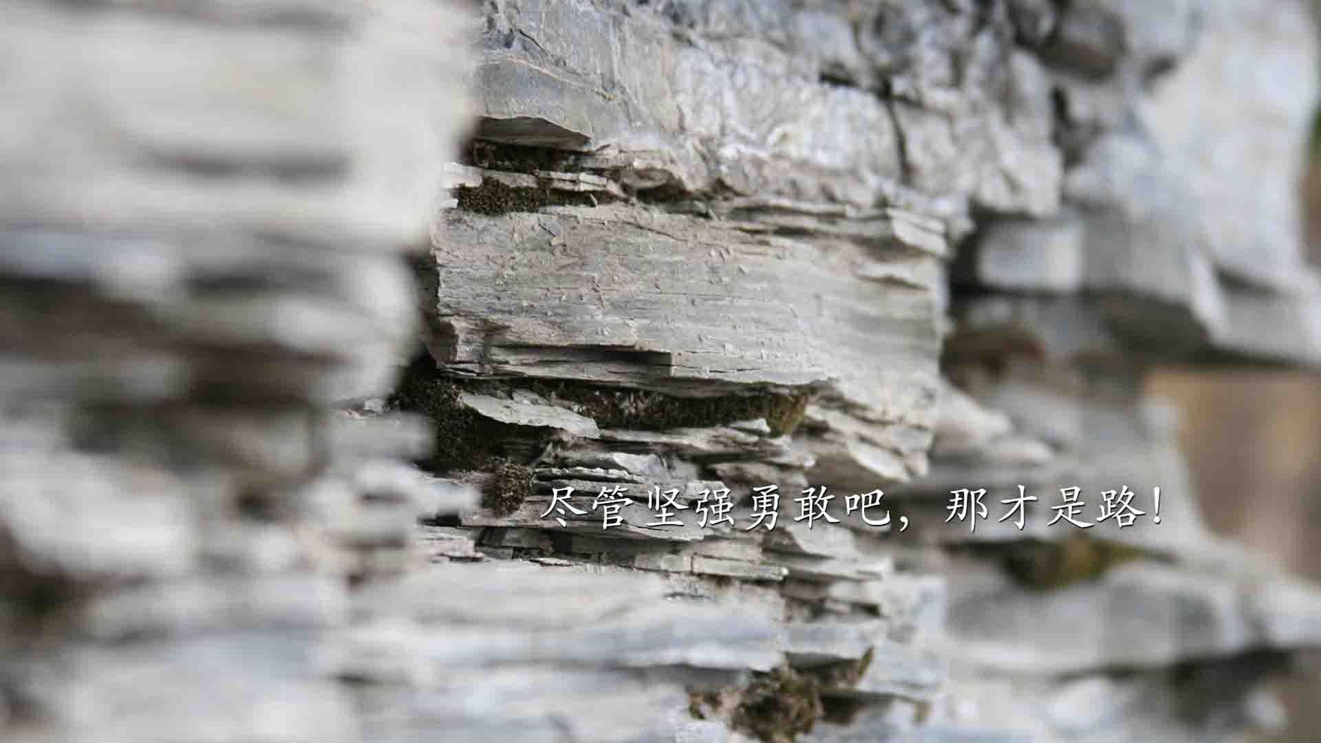 _智能体育设备展：开启运动科技新未来_，智能体育器材发展前景