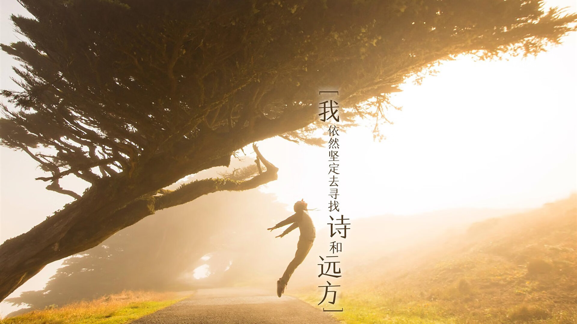 多平台联动电竞直播，用户体验持续升级，多平台联动电竞直播,用户体验持续升级什么意思
