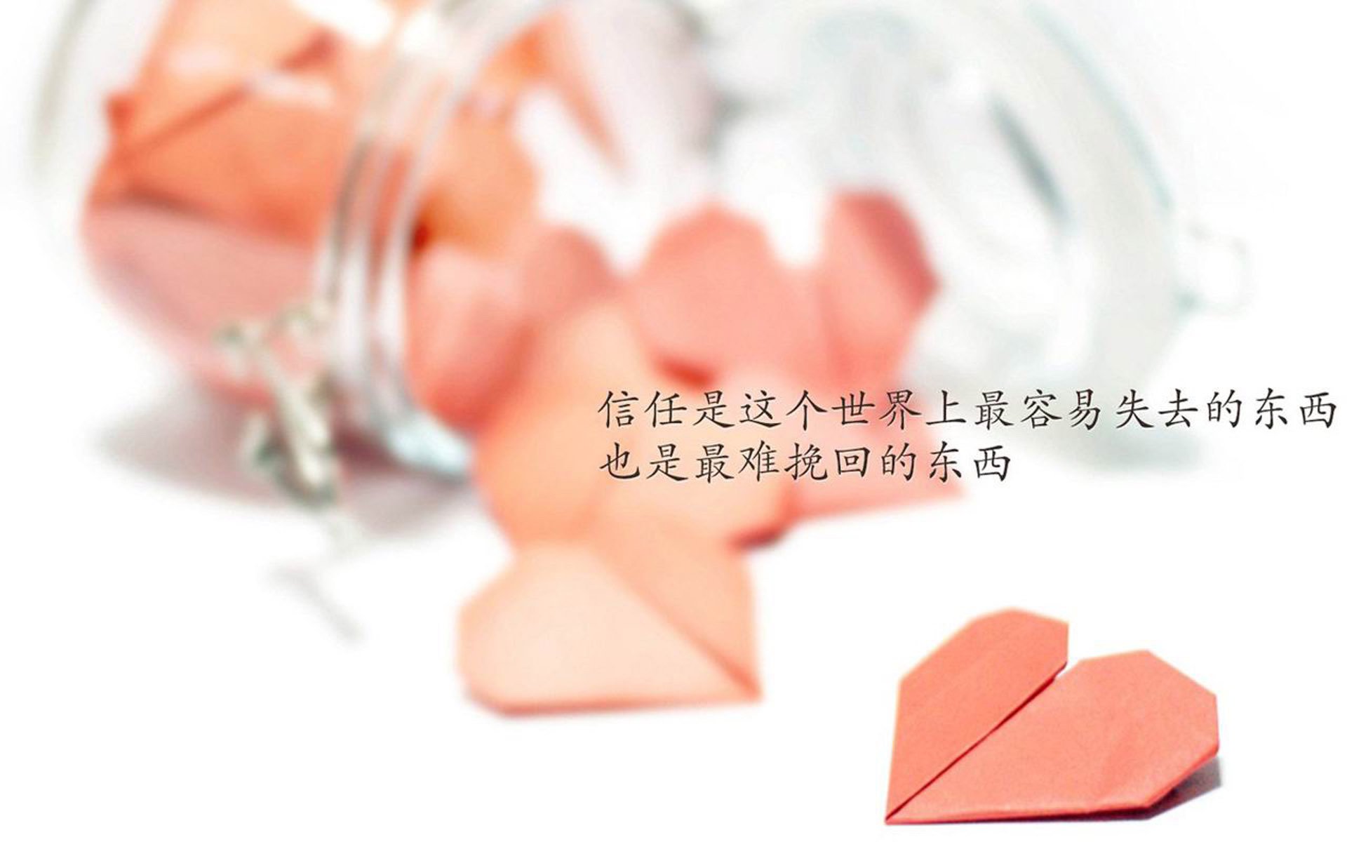 勒沃库森中场核心回归，勒沃库森队