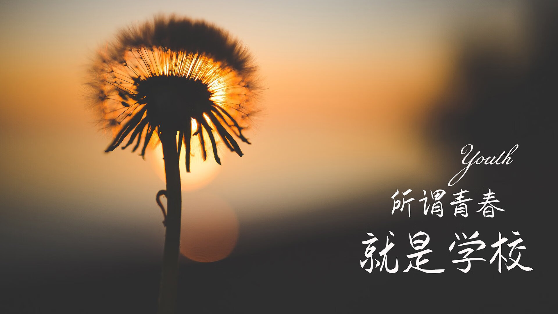 国足后防线稳定性提升明显，国足防守