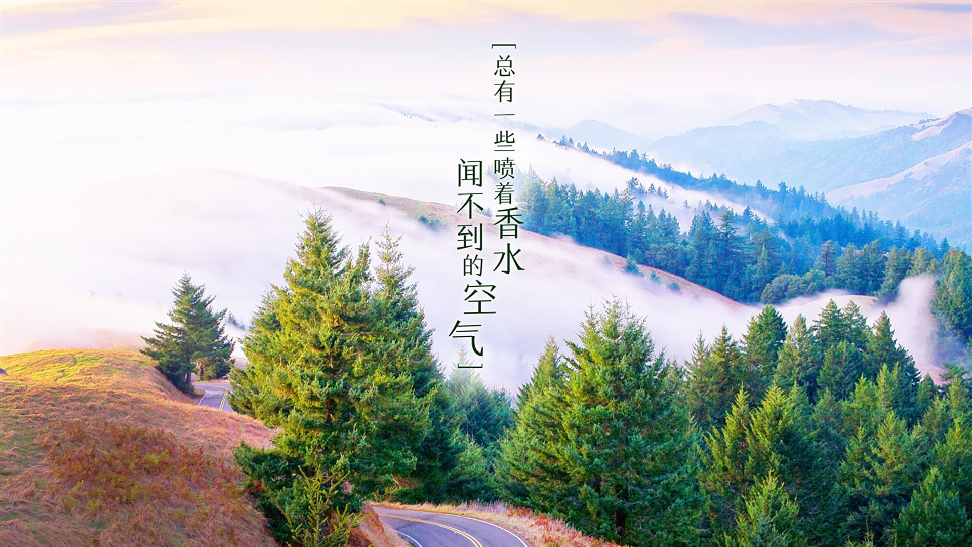 奇才球队年轻球员成长迅速，奇才队十大球星