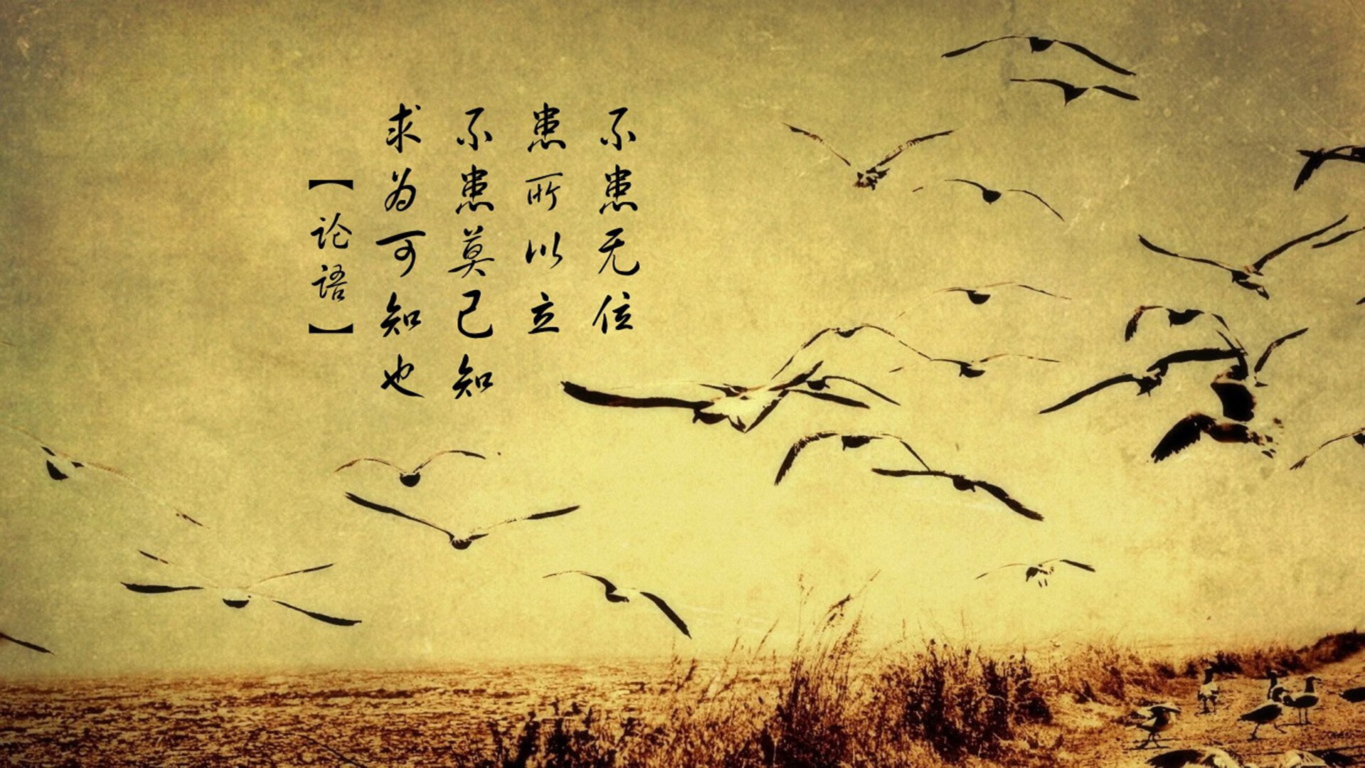 阿根廷后卫荣膺海外职业联赛最高得分手，称霸群雄，阿根廷国家队后卫