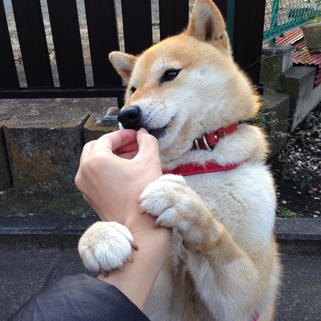 kaiyun中国官方网站-明星运动员开设个人线上训练营受到追捧，明星训练营综艺