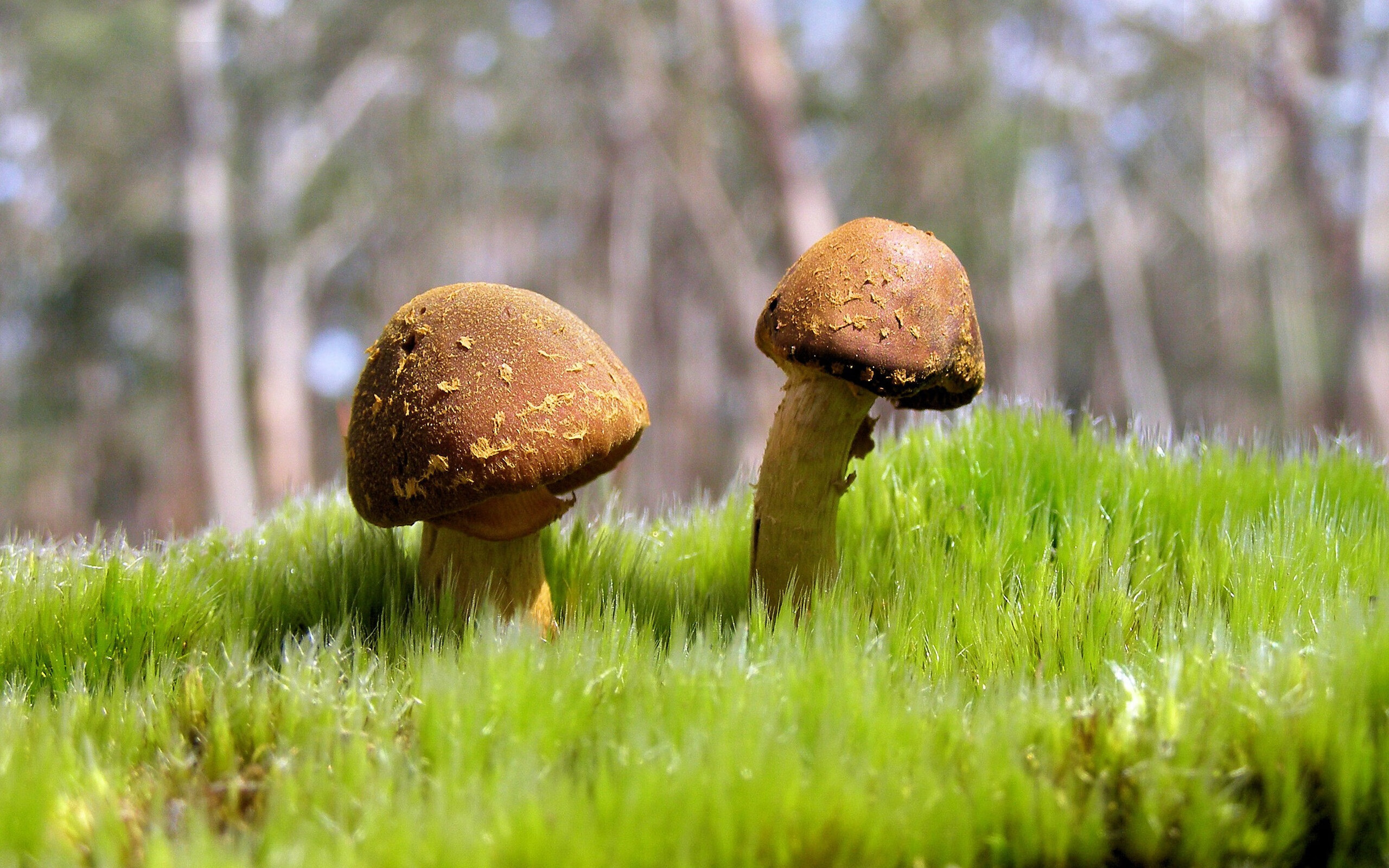 运动员文化表达能力被列入综合考核项目，运动员文化水平