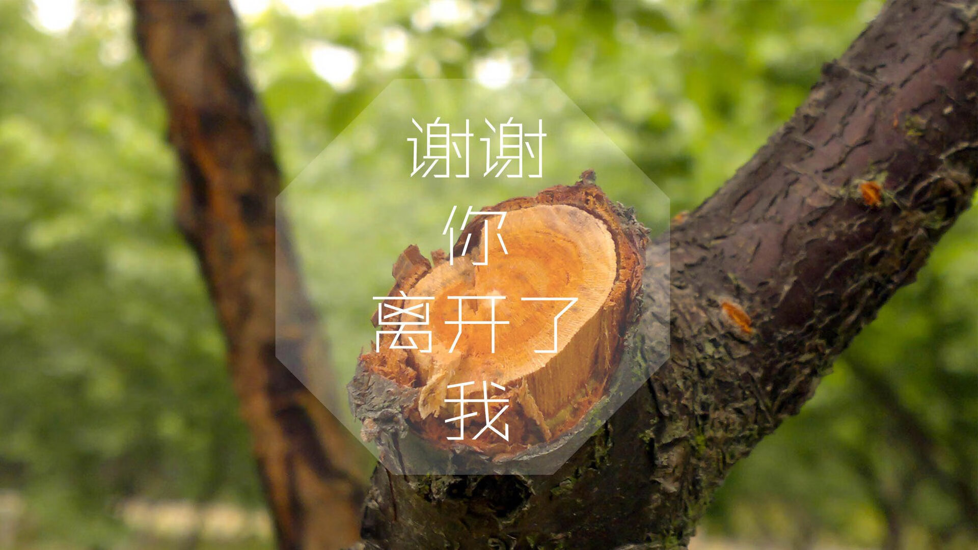 乌干达女篮在非洲锦标赛中奋战不止，期待更佳表现，带你一起看非洲乌干达