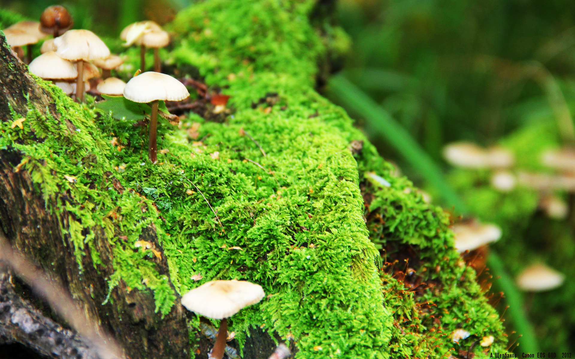 KAIYUN 中国大陆-田径运动员训练方法优化，田径训练方法概述