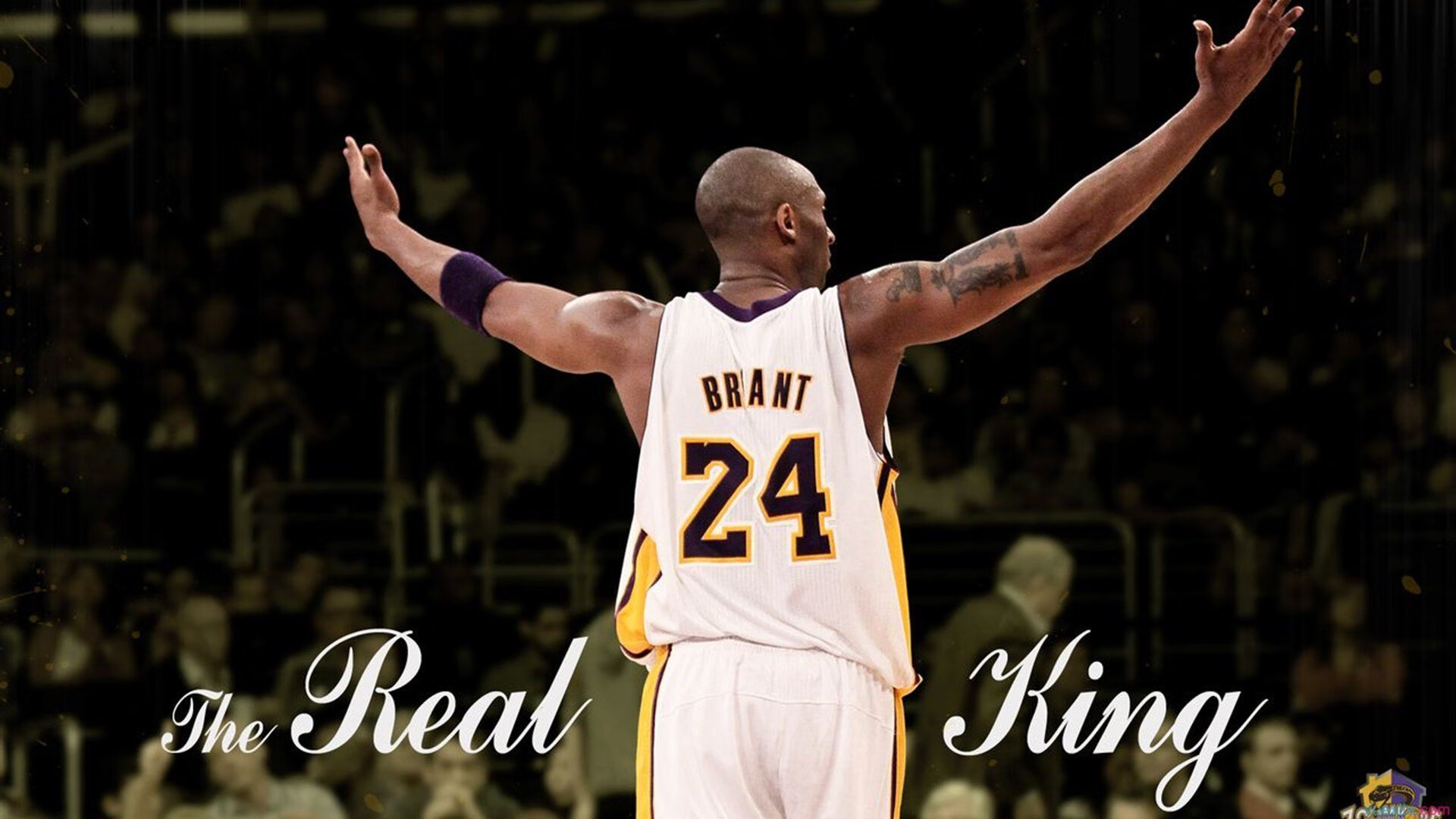 NBA退役球星回归母校助阵篮球公益活动，nba退役人员名单